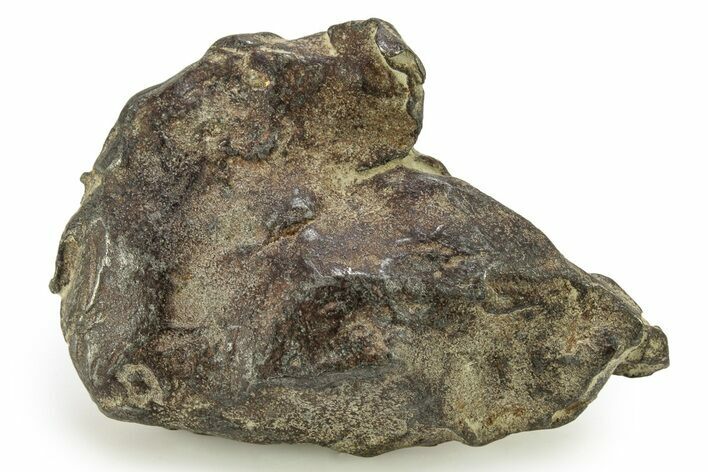 Gebel Kamil Iron Meteorite ( g) - Egypt #265452